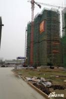 华泰学府春天实景图图片